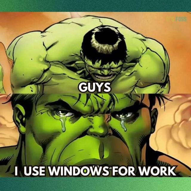 In this two-part comic, the Hulk is seen crying, saying this: Guys, I use Windows for Work.