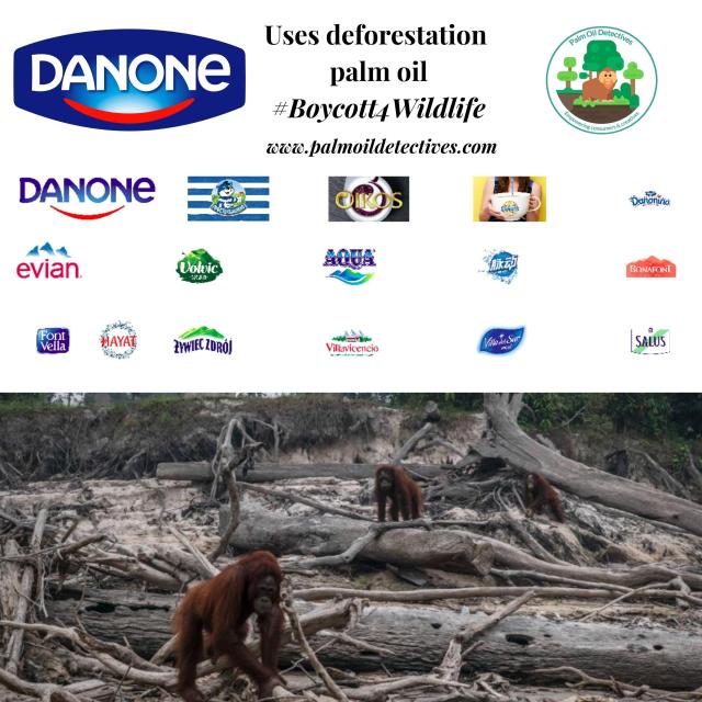 Boycott @Danone for using dirty #palmoil and pretending it’s “sustainable”. In reality it’s ALL linked to #deforestation #extinction 💀 and #humanrights abuses. Fight back with your wallet #BoycottPalmOil 🌴🪔⛔️ #Boycott4Wildlife @palmoildetect.bsky.social https://palmoildetectives.com/2021/03/06/danone/?utm_source=mastodon&utm_medium=Palm+Oil+Detectives&utm_campaign=publer
