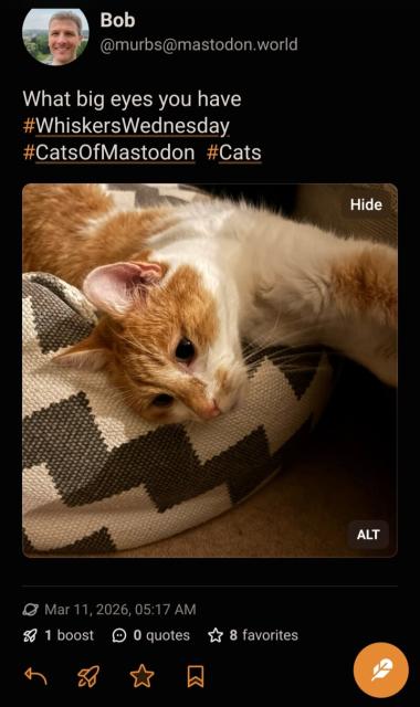 A ginger and white cat resting on a patterned pillow, looking towards the viewer with large, dark eyes. The cat is lying down with one paw extended, its head and eyes in focus.