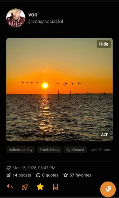Sunset over water with birds in flight silhouetted against the bright orange sky, some wooden posts are in the water.