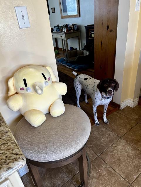 A cute yellow elephant plush toy sits on a stool in a home kitchen, with a spotted dog standing nearby. The background includes a glimpse of a living area with furniture and decor.
