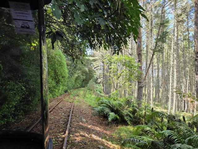 A railway through a forest 