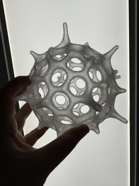 Backlit clear radiolarian model in my hand 