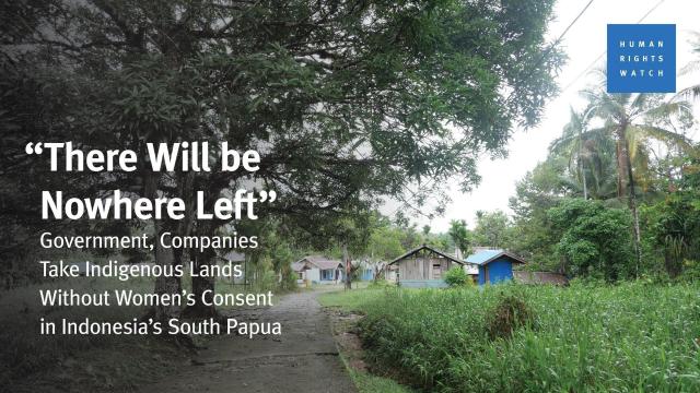 #News: #Indigenous women’s #landrights trampled in #Papua as #palmoil giants  seize forests and jostle for power —the women will not be silenced! 🚫🌴☠️ #BoycottPalmOil #Boycott4Wildlife @palmoildetect.bsky.social https://palmoildetectives.com/2025/09/10/papuan-women-will-not-be-silenced-while-palm-oil-behemoths-consume-their-land/?utm_source=mastodon&utm_medium=Palm+Oil+Detectives&utm_campaign=publer
