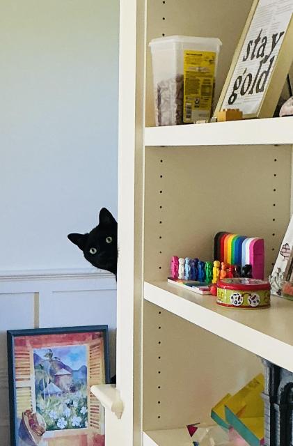 Black cat peeking around the corner near a bookshelf, only head visible