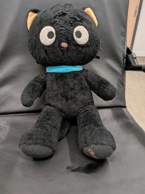 A black plush kitty with a blue collar and big white eyes.
She's sat on a black station wheelchair 