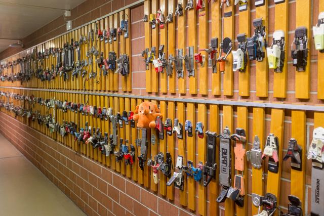 Plushtodon au milieu d'une collection de fixations de ski. Les fixations sont cloués au mur dans un couloir du bâtiment ME