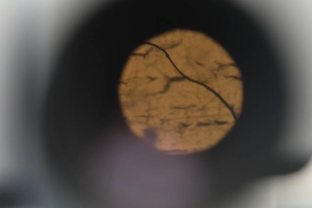 A photograph looking down a microscope lens, where a dark stand of fibre is clearly visible on an orange background