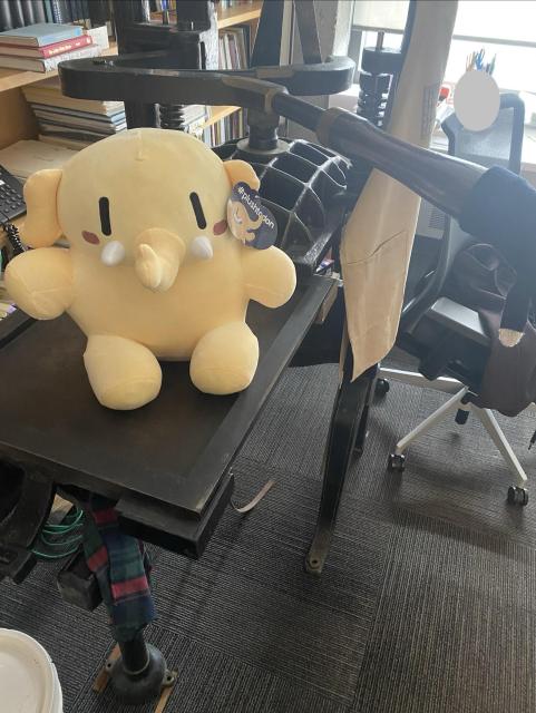 An office with bookcases, a desk and task chair, a 19th-century iron-framed handpress, and a yellow Mastodon plushie sitting on the press bed
