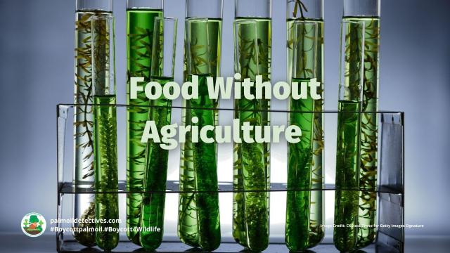 #News: Can #yeast save the #rainforests? 🧐🍄 Scientists create "designer enzyme" turning yeast into a #palmoil or #coconut oil alternative!  🛑🌴  🧪✨ #BioTech #BoycottPalmOil #Boycott4Wildlife @palmoildetect.bsky.social https://www.geneonline.com/designer-enzyme-enables-yeast-to-produce-fatty-acids-as-sustainable-alternatives-to-palm-and-coconut-oil/?utm_source=mastodon&utm_medium=Palm+Oil+Detectives&utm_campaign=publer

