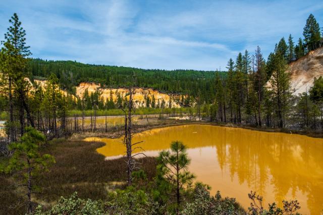 A yellow-orange pond beneath blue skies, ringed by trees, with a treeline in the background. [Fuji X-T5 / Sigma 17-40 1.8]
