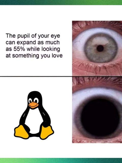The pupil of your eye can expand as much as 55% while looking at something you love: A picture of a dilated pupil inside someone's eye socket.

A picture of Tux, the penguin mascot of Linux: The pupil is dilated like a f*cking black hole.
