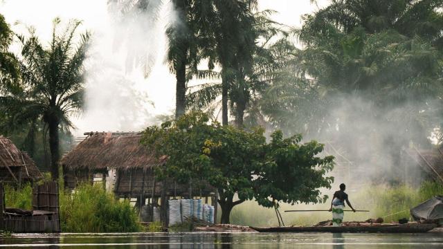 #News: Illegal #deforestation is destroying the #Congo Basin. #Indigenous communities are fighting to protect the #forest. Stand with them! 🌴🙊🔥☠️🚫 @palmoildetect.bsky.social #BoycottPalmOil #IndigenousRights  https://www.theguardian.com/global-development/2026/feb/16/floating-cities-of-logs-can-the-lungs-of-africa-survive-exploitation-congo-river?utm_source=mastodon&utm_medium=Palm+Oil+Detectives&utm_campaign=publer
