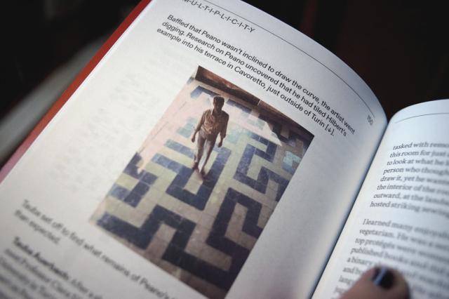  Peano purchased a small house in Cavoretto, where he had a copy of the Hilbert Curve made on the balcony with small bit of cement, so that it showed up in black on the white tiles. 
