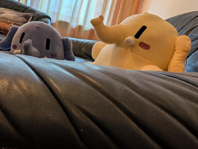 Photo of John and Jane Mastodon (yellow and blue Mastodon plushies) sitting on a couch, taken from close to the couch's arm rest. Jane is facing the camera, John is facing left.
Window curtains in the background, also a different couch in the back and on the left, with a cushion on it.