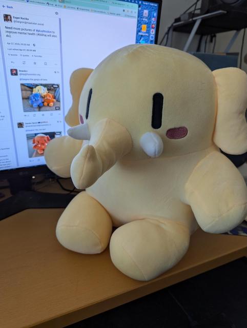 Plump yellow Mastodon plushie sits on a desk in front of a computer monitor displaying Eugen Rochko's request on Mastodon for more #plushtodon pictures.