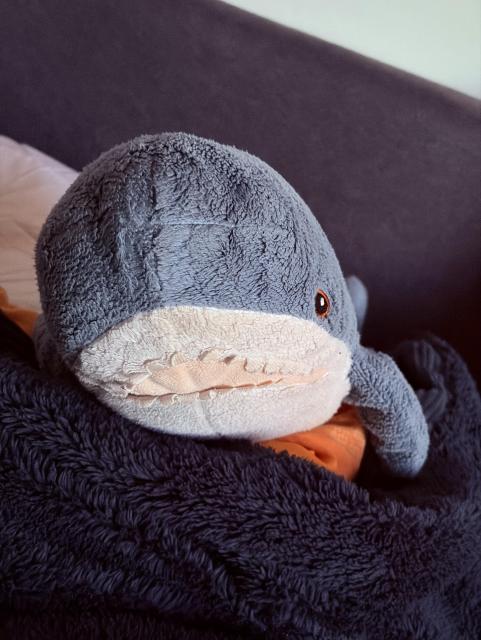 A plush blåhaj peeks out from under a soft, dark blanket. Soft bedding is partially visible in the background.