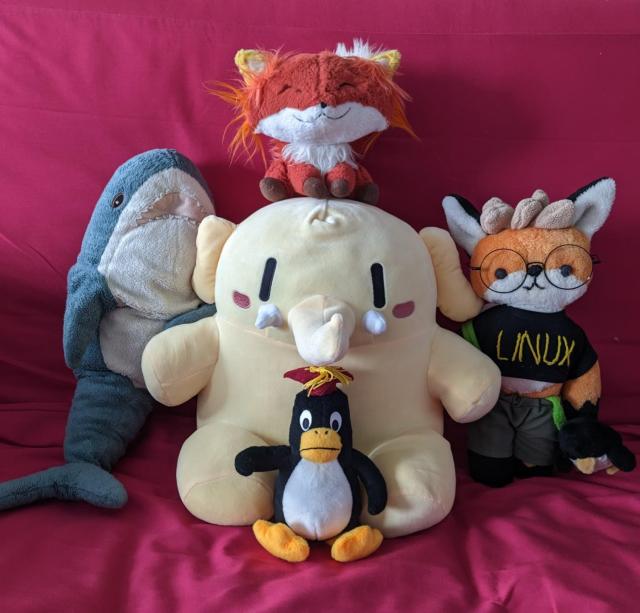 5 plushies on a pink fabric piece of furniture.

From Top to bottom, left to right:
Mozilla Firefox Plush
Blahaj IKEA plush
Mastodon Plushtodon plush
Xenia The Linux Fox plush (custom 1-of commission) 
Tux, Linux Mascot plush (Linuc JP/LPI brand plush)