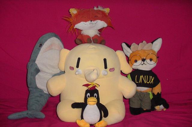 5 plushies on a pink fabric piece of furniture.
The photo is taken with a Sony Mavica MVC-FD90 floppy disk camera, and is noticeably noisy/of lower quality than the smartphone camera. It however is still legible and has a certain charm to it.

From Top to bottom, left to right:
Mozilla Firefox Plush
Blahaj IKEA plush
Mastodon Plushtodon plush
Xenia The Linux Fox plush (custom 1-of commission) 
Tux, Linux Mascot plush (Linuc JP/LPI brand plush)