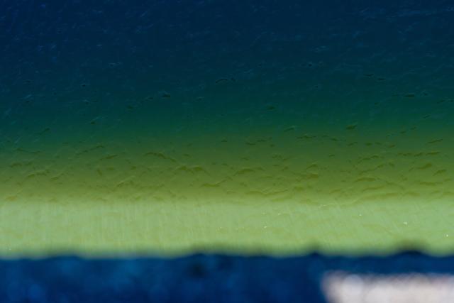 An abstract image shows light diffusing through brackish water. [Fuji X-T5 / Sigma 17-40 1.8]