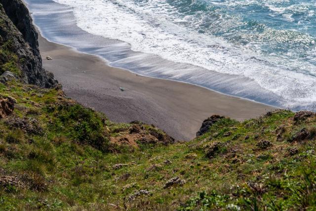 A view looking down over green cliffs toward a beach with the tide coming in. [Fuji X-T5 / Sigma 17-40 1.8]
