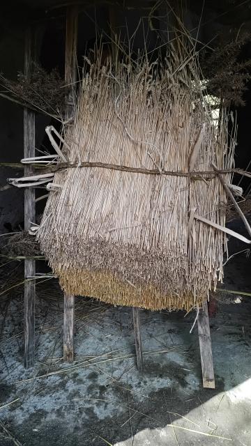 The front of the thatch, just layered straw visible