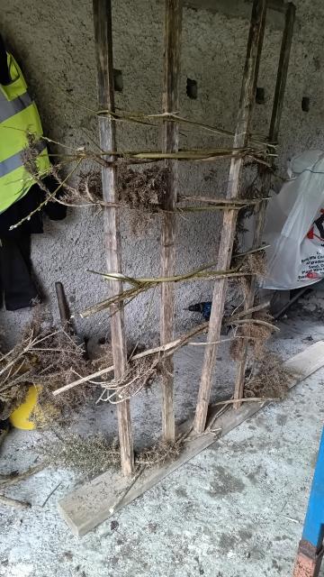 The frame before any straw was attached, built from scrap timber, latticed gorse, and a couple of willow branches
