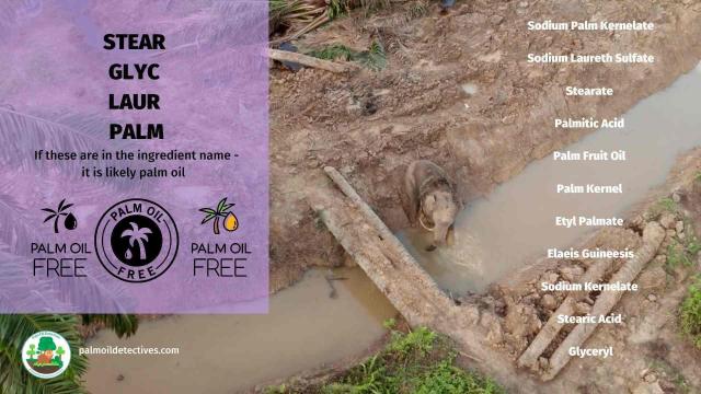 DYK that #Nutella by #Ferrero contains forest-destroying #palmoil? Help #animals and #indigenous peoples by going #palmoilfree with your nut butters and cooking oil. Resist and #Boycottpalmoil #Boycott4Wildlife 🌴🔥🫢⛔️ learn more palmoildetect.bsky.social?utm_source=mastodon&utm_medium=Palm+Oil+Detectives&utm_campaign=publer?utm_source=mastodon&utm_medium=Palm+Oil+Detectives&utm_campaign=publer ➡️ https://palmoildetectives.com/2021/02/11/palm-oil-free-cooking-oil-margarine-and-spreads/?utm_source=mastodon&utm_medium=Palm+Oil+Detectives&utm_campaign=publer
