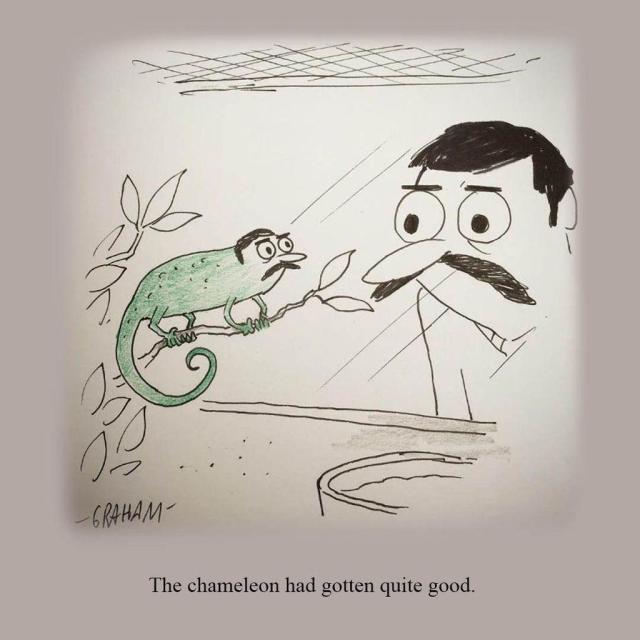 A cartoon illustration of a man with a mustache looking at his chameleon in a terrarium who has the same face and mustache as him. Caption reads "The chameleon had gotten quite good."