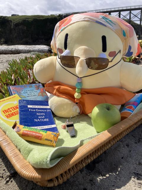 Yellow mastodon plushie wears a floral headscarf and sunglasses while sitting on a towel at the beach. Items on her towel include sunscreen lotion, a granola bar, an apple, and three small books: writings by Emerson, a Hawaiian language guide, and a book about undersea creatures.