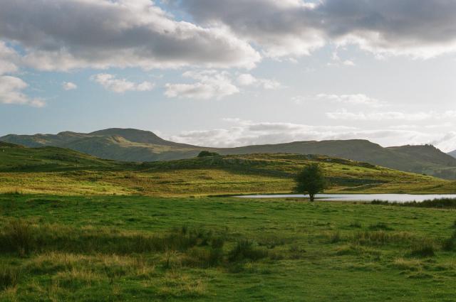 A green landscape under a blue sky, a small tarn on the right with a lone tree beside it, greater mountains in the distance.