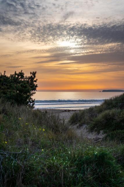 The sun sets over a beach with greenery in the foreground. [Fuji X-T5 / Sigma 17-40 1.8]