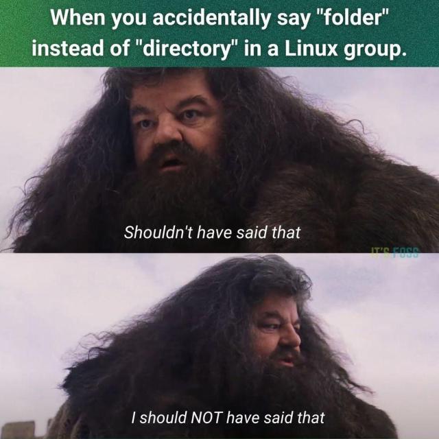 When you accidentally say "folder" instead of "directory" in a Linux group.

Below there are two pictures of a hairy, bearded man (the og Hagrid from the Harry Porter movies).

In the first one, he says, "Shouldn't have said that."

In the second one, he says, "I should NOT have said that."