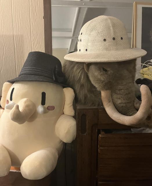 Two stuffed animals sitting on a bureau, facing away from each other on a 45 degree angle. The Mastodon is wearing a grey fedora. The Woolly Mammoth is wearing a pith helmet.