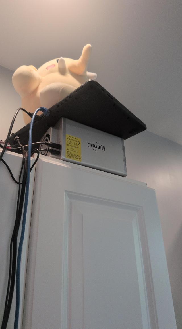 Hard drive box perched on top of a tall cabinet, with a laptop placed perilously on top of it, with a plushtodon plushie placed on top of that. A bunch of wires are dangling down.