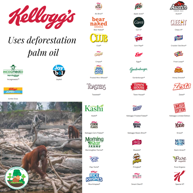 #Palmoil used by #Kelloggs’s brands is so-called “sustainable” yet it still causes #deforestation #ecocide #extinction and #indigenous landgrabbing. Fight back against the greenwash ☠️🧐🌴🤮⛔️ and #BoycottPalmOIl #Boycott4Wildlife @palmoildetect.bsky.social https://palmoildetectives.com/2021/02/09/kelloggs/?utm_source=mastodon&utm_medium=Palm+Oil+Detectives&utm_campaign=publer
