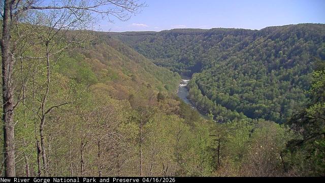 A view into the gorge from the visitor center in New River Gorge National Park and Preserve. Forest types within the park include oak-hickory, oak-maple, oak-yellow pine, mixed oak,  hemlock-hardwoods, northern hardwoods, and cove hardwoods, along with other intriguing plant communities such as the Appalachian Riverside Flatrock Community. This image shows the colors of the trees and vegetation on the slopes of the New River Gorge. New leaves are opening and colors are changing, with tans, browns, yellows, and greens among the more prominent. The river itself is visible in the center of this view. While today’s sky is a bit overcast, this image from yesterday shows the park under blue skies. 