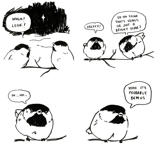 Two chickadees sit on a branch, one says: "Whoa! Look!" indicating a light in the sky over the horizon. The other one says: "Pretty!" The first one says "Do you think that's Venus or just a bright star?". The second one looks nervous, stumbling "Oh... uh... yeah it's probably Bemus"