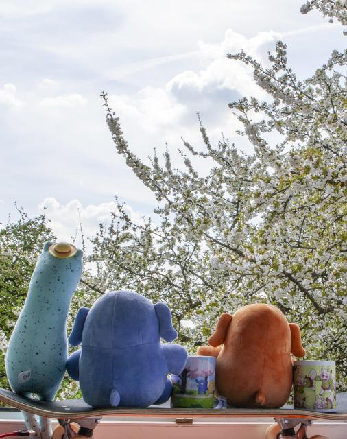 Three plushies sit on a skateboard and enjoy the sunny view of a sky with puffy clouds and white cherry blossoms of a tree which are covering the right half of the picture. From left right it's Akyo, an elongated cat-like creature, blue and then orange plushtodon, both cute mastodons. They have two coffee mugs next to them