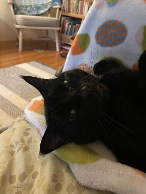 Close up of my void's face