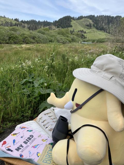 A yellow mastodon plushie wears a bucket hat and binoculars while looking out at verdant wetlands and hills. There are several bird books in front of her.