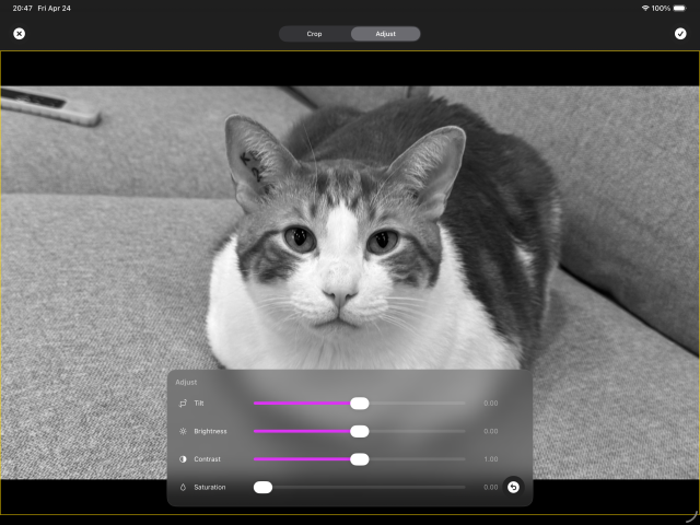 A loafing cat in a couch… wrapped in an image editor. It's an orange-white cat, but you can't tell because the color saturation is set to zero.