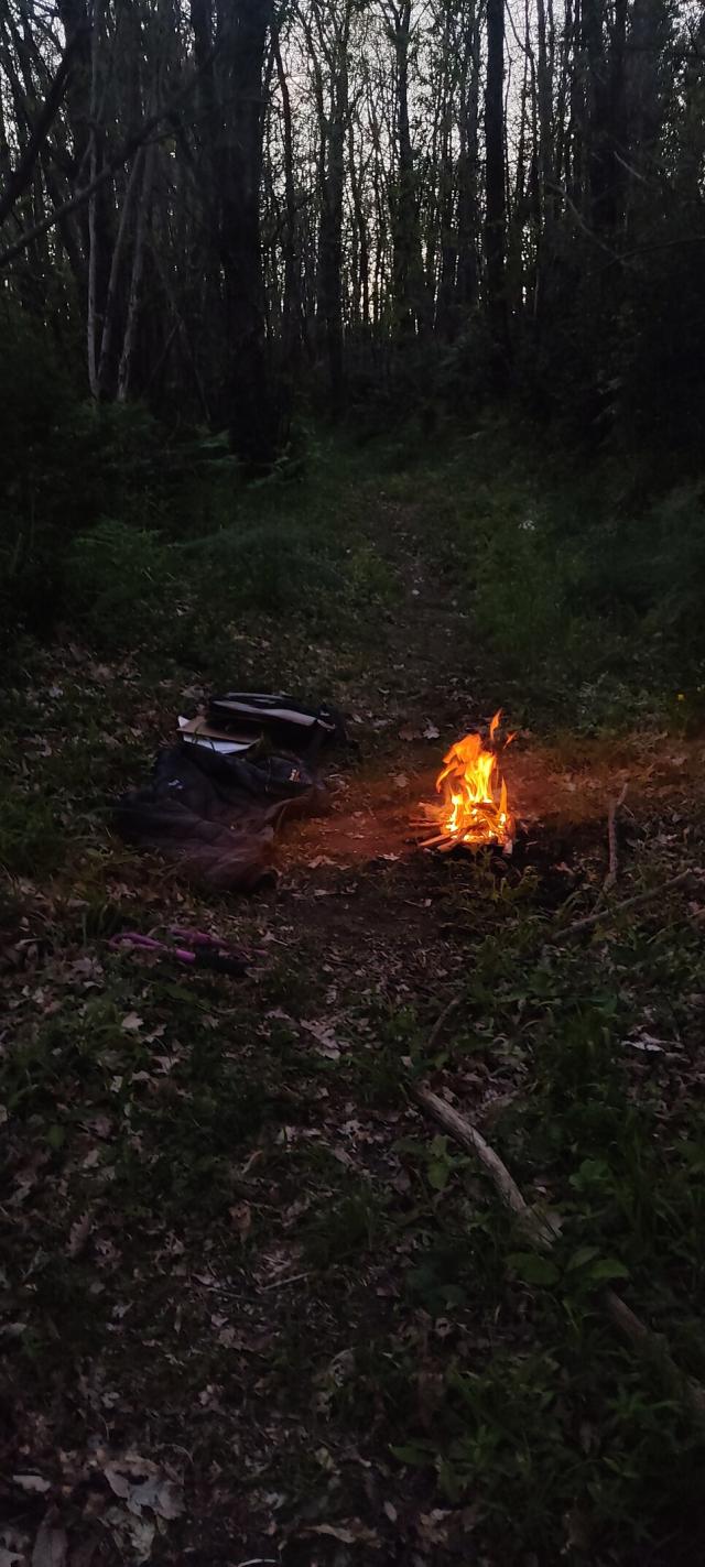 little fire in the woods