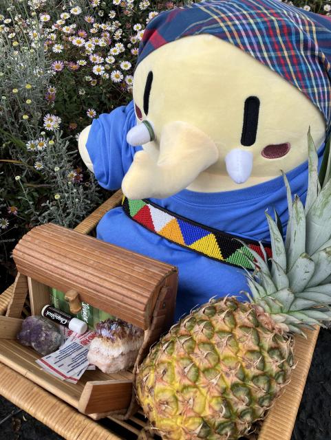 Yellow mastodon plushie wears a blue shirt, a colorful belt, and headwrap, while sitting with a pineapple of welcome, and an open box of crystals and comfort items. A bed of santolina and erigeron daisies are beside her.