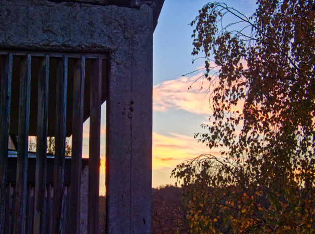 view from my balcony towards east, a birch and a sunrise in a distance