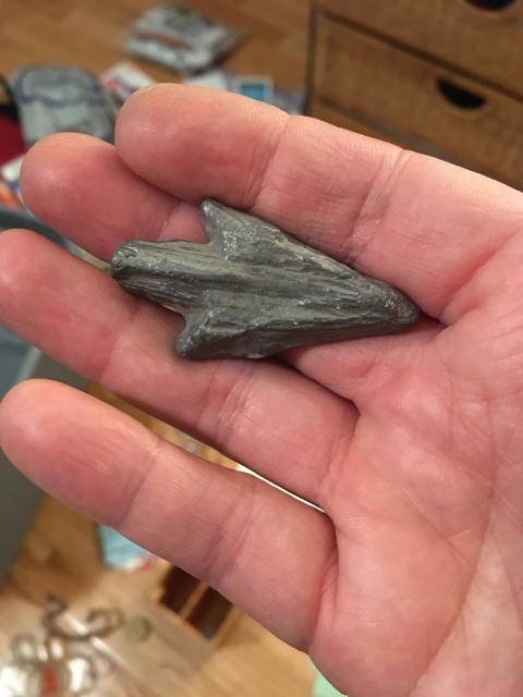 Lead arrow emblem with visible wood grain