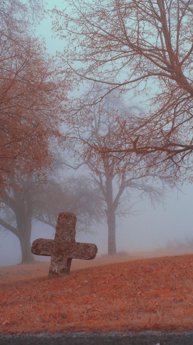 Four pics of a concilliation cross among trees in dense fog