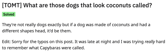 [TOMT] What are those dogs that look coconuts called? ‘Solved

They're not really dogs exactly but if a dog was made of coconuts and had a different shapes head, it'd be them.

Edit: Sorry for the typos on this post. It was late at night and I was trying really hard to remember what Capybaras were called. 