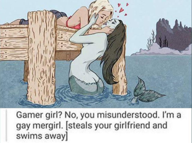 A coloured illustration of a mermaid reaching up to embrace a woman who's lying on the edge of a wooden pier. They're about to kiss.

The words underneath say: "Gamer girl? No, you misunderstood. I'm a gay mergirl. [steals your girlfriend and swims away]
