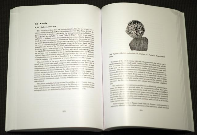 Sample picture from book: The Historical Debate on the Chondrites